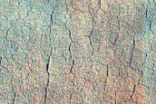 Utopia Planitia
