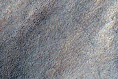 Gully Monitoring