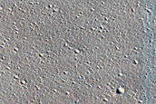 Candidate Recent Impact Site