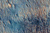 USGS Dune Database Entry Number 0420-423