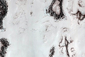 South Polar Residual Cap Mosaic Campaign