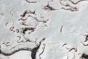 South Polar Mosaic Campaign