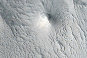 Lucus Planum