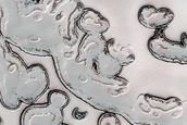 South Polar Residual Cap Mosaic Campaign