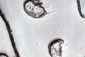 South Polar Residual Cap Mosaic Campaign