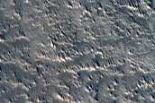Craters on Northern Plains