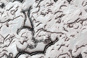 South Polar Residual Cap Mosaic Campaign