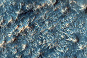 Cratered and Rugged Geologic Units in Crater Floor Material