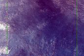 Dune Monitoring in Crater