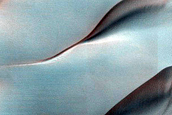 Dune Gully Monitoring