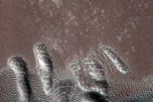 Dune Monitoring in Crater
