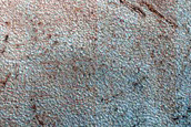 Dune Monitoring in Crater