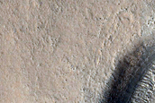 Layered Feature in Crater in Nilosyrtis Mensae