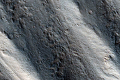 Gully Monitoring