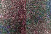 South Polar Residual Cap Mosaic Campaign