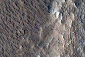 Elysium Planitia