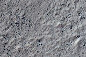 Scarp Monitoring
