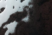 South Polar Residual Cap Mosaic Campaign