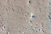 Amazonis Planitia