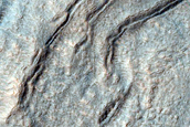 Layered Feature in Southern Mid-Latitude Crater