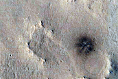 Monitoring New Impact Site
