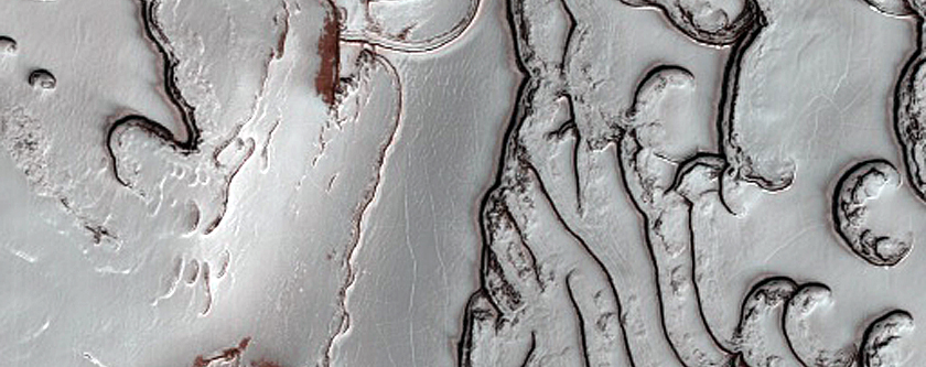 South Pole Residual Cap Texture on Ridges 