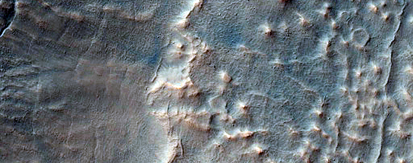 Gullies in Southern Mid-Latitude Crater near Sirenum Fossae