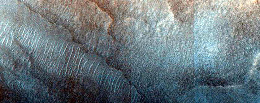 Dune Monitoring in Crater