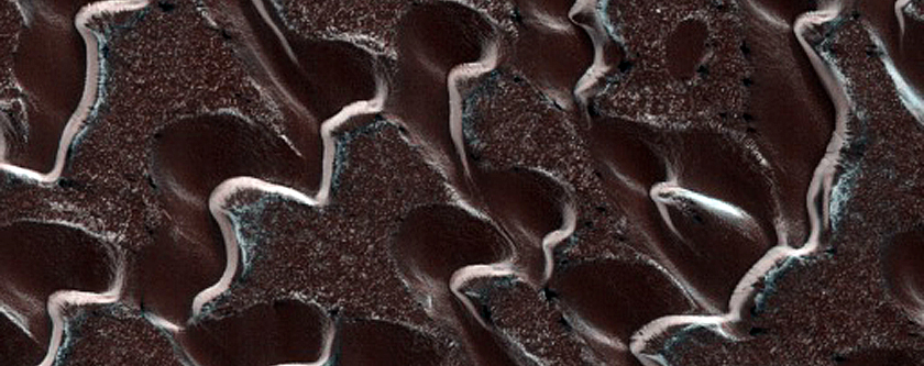 Dunes Dubbed Laguna