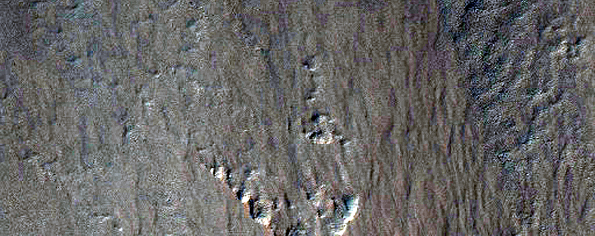 Gullies on Southern Wall of Ross Crater