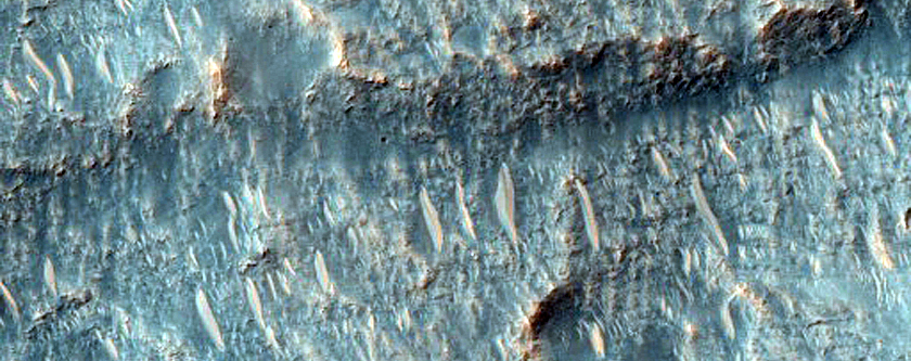 Gullies in Crater along Trough near Mariner Crater