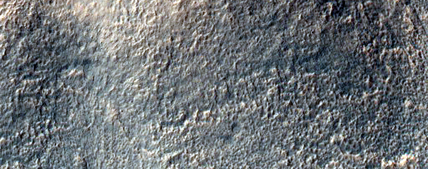 Gully Monitoring