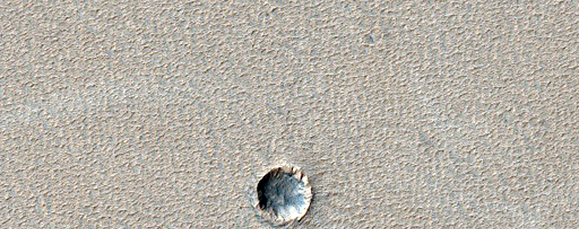 Syria Planum Dust-Raising Event Monitoring Site