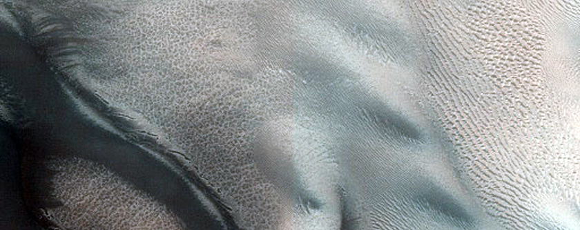 Dune Monitoring in Milankovic Crater