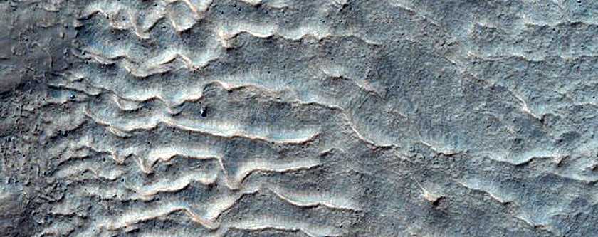 Gullies on Western Slope of Crater on Edge of Ptolemaeus Crater