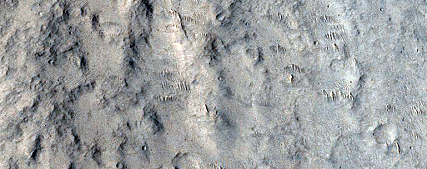 Northern Terra Cimmeria