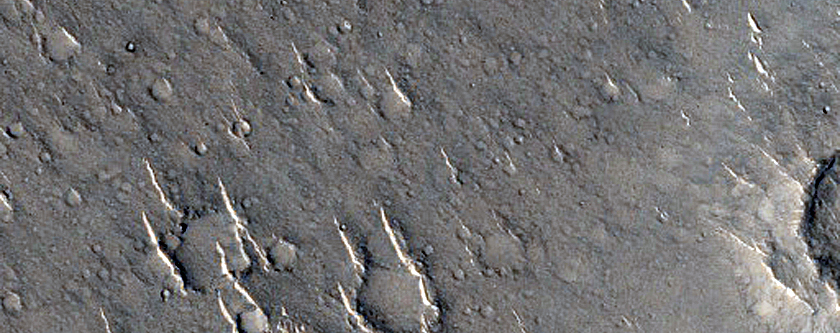 Ridges in Isidis Planitia