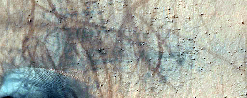 Terra Cimmeria Intracrater Barchan Dunes