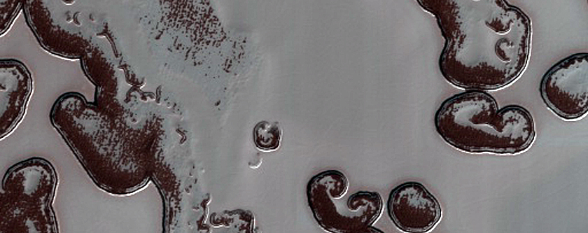 South Polar Residual Cap Monitoring Site