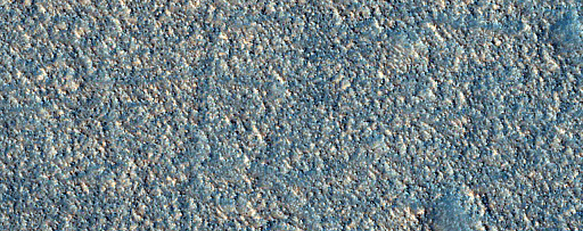 Albedo Monitoring in Arcadia Planitia