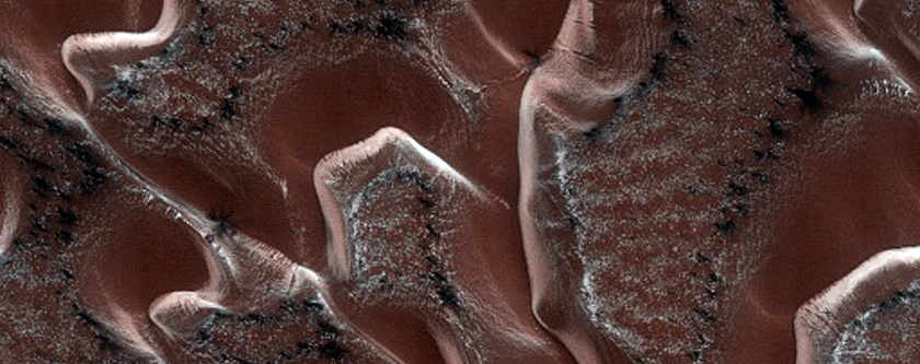 Dunes Dubbed Pismo Beach