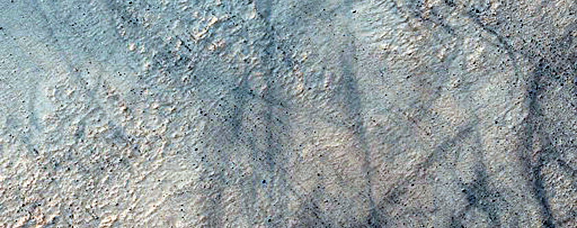 Nereidum Montes
