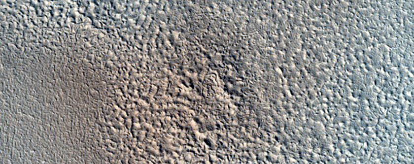 Albedo Monitoring in Arcadia Planitia