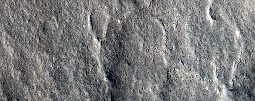 Wrinkle Ridges in Phlegra Montes