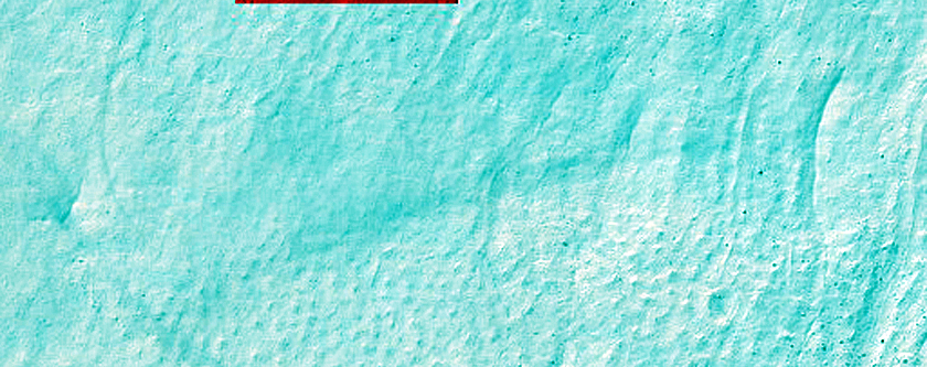 Gully Monitoring