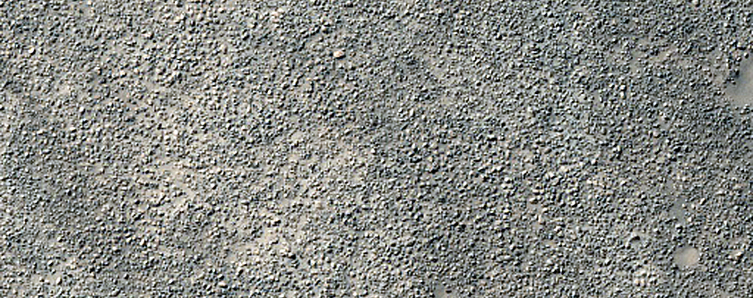 Terrain Sample