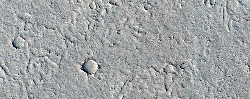 Candidate Recent Impact Site