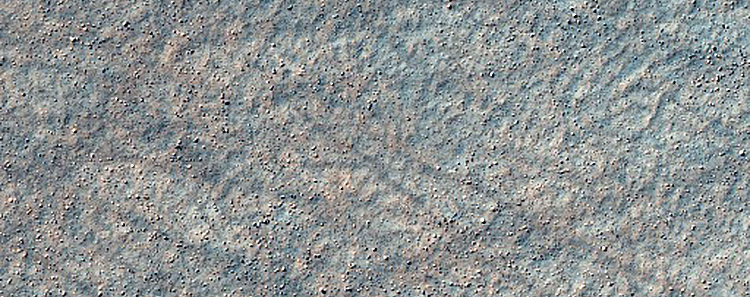 Rocky Plains