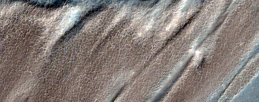 Vishniac Crater Floor