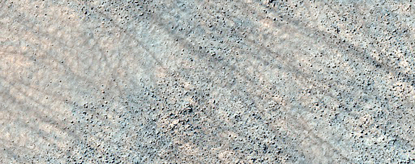 Sample Plains